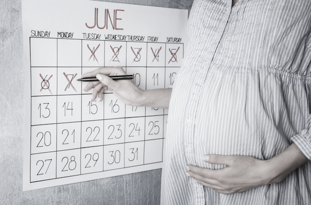 Pregnancy Calculator & Calendar: Week by Week
