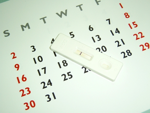 Pregnancy Calendar Tool