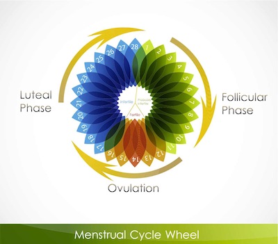 spotting between menstrual cycles