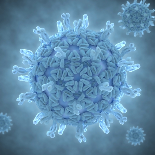 Rotavirus In Adult 59