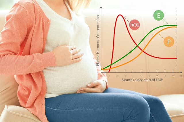 Can An Irregular Gestational Sac Mean A Healthy Pregnancy - x23x4wc