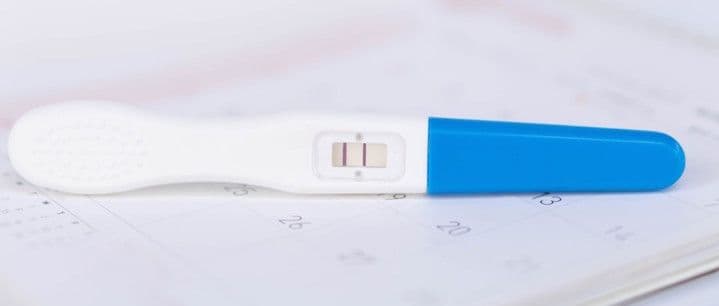 The Interactive Pregnancy and Ovulation Wheel