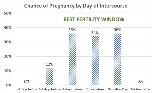 Best Fertility Window