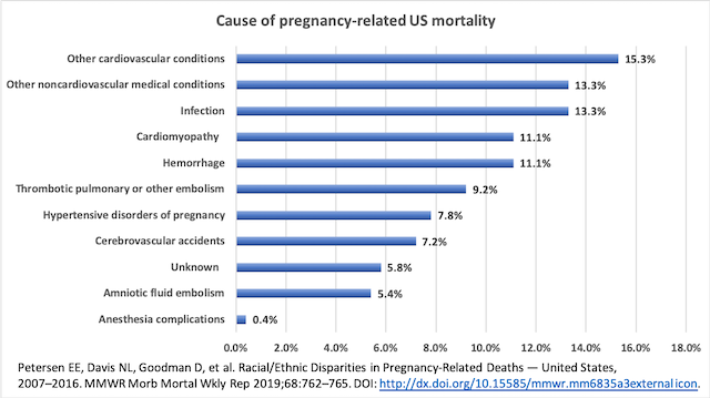 Causes of US Maternal Mortality