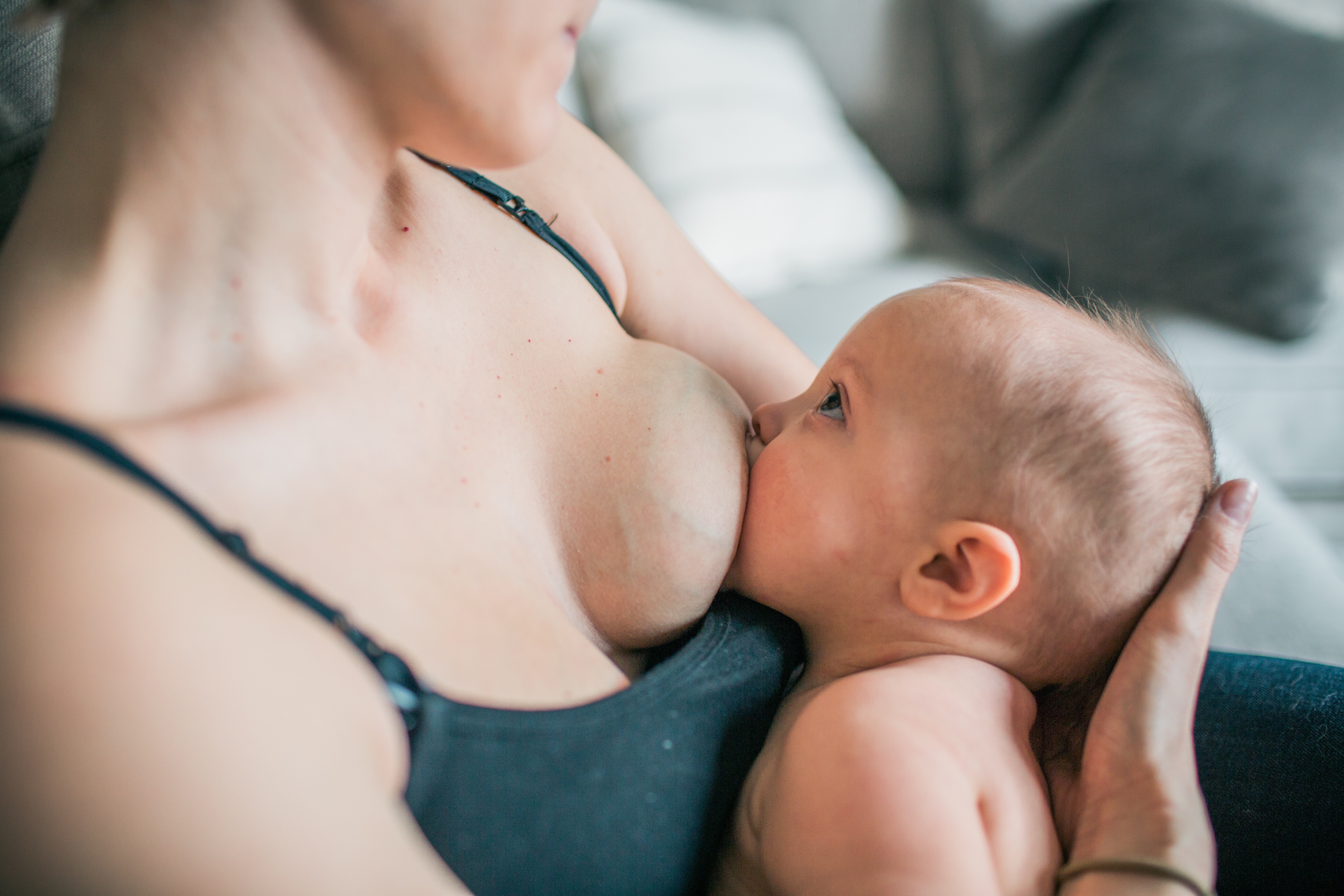 Breastfeeding milf