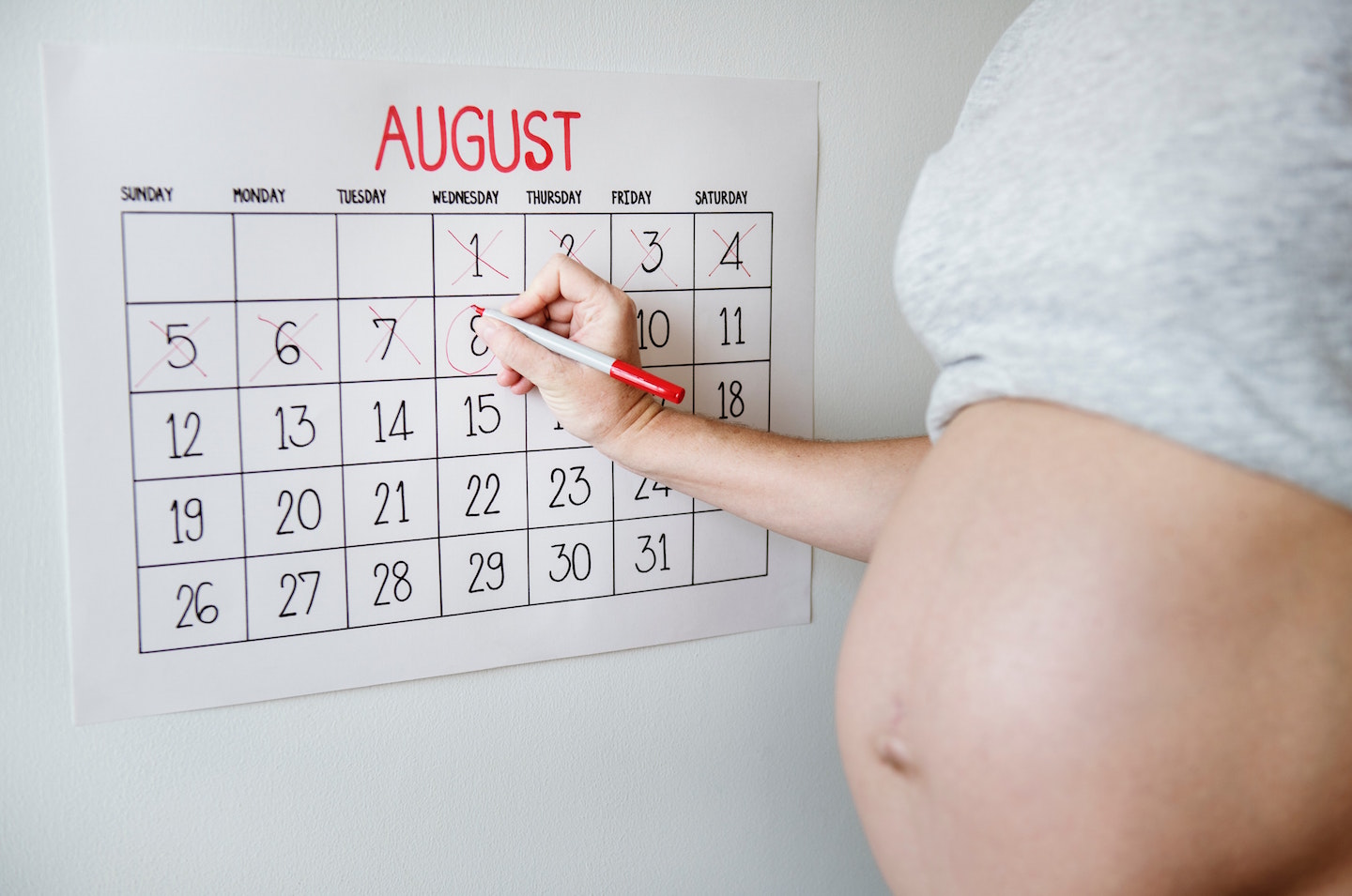 Conception Month And Due Date Chart