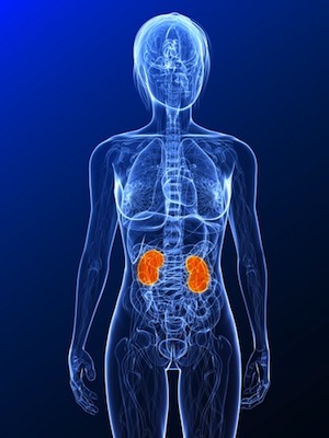 kidney-disease-pregnancy.jpg
