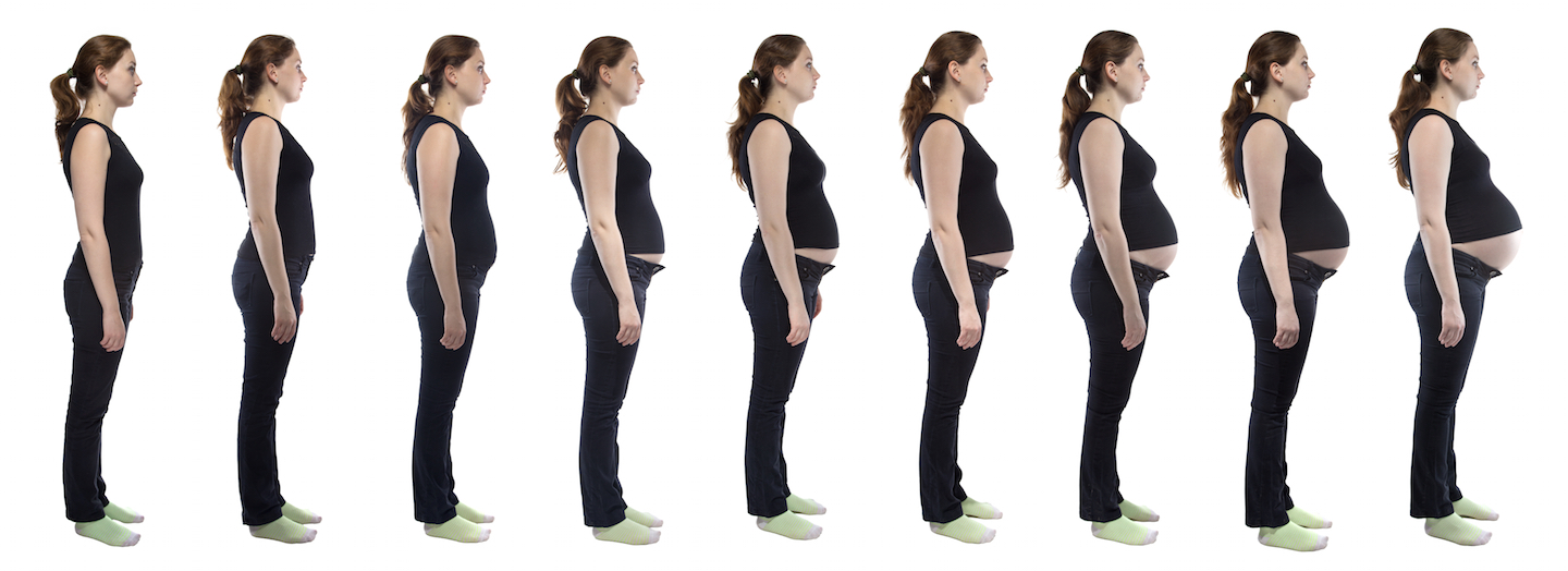 The Six Trimesters of Pregnancy