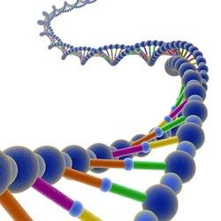3D-DNA-colorful