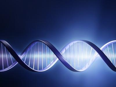 DNA and genetics