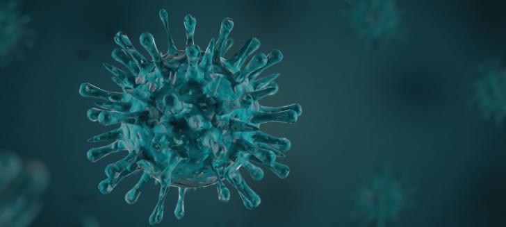 What is Coronavirus?