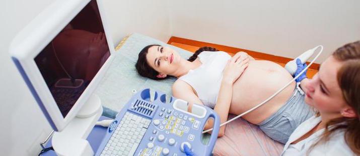 Ultrasound Guide for Pregnancy