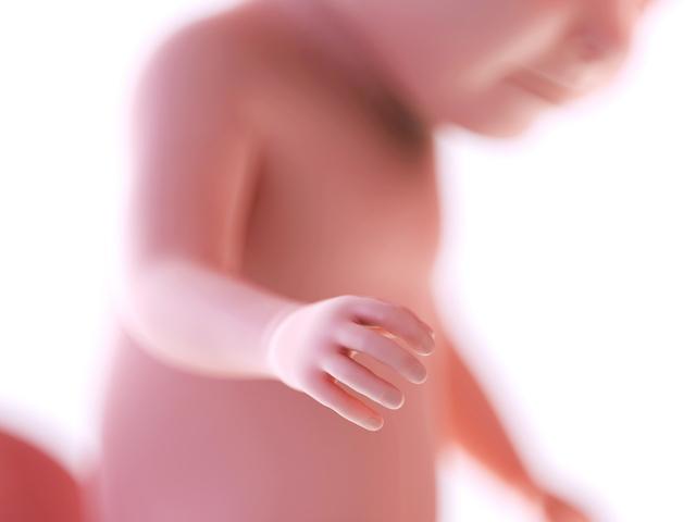 pregnancy fetus 31 weeks