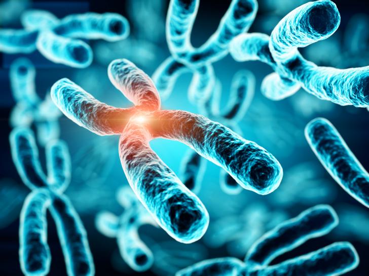 genetics, chromosomal abnormalities, DNA, chromosome