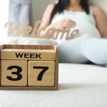 pregnancy fetus week 37