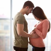 what is pregnancy pretrimester 