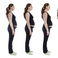 six pregnancy trimesters 