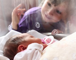 Premature baby in incubator