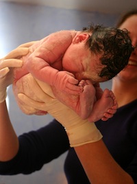Midwife and newborn in hospital