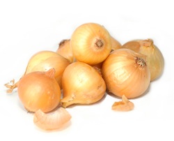 Onions Pregnancy