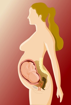 Fetal Gestation