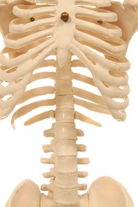 bone health
