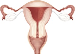 Deep Cervix and Fertility